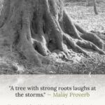 Home 6 A black-and-white photo of an ancient oak tree.